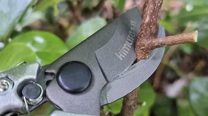 Kimura® 8" Pro Bypass Pruning Shears, Heavy Duty Japanese SK5 Steel Blades, 1 inch Cut Capacity, Non-Slip PVC Coated Handles, Lightweight & Ergonomic, Japanese Pruners, Professional Garden Clippers by GreenHaven Gardens
