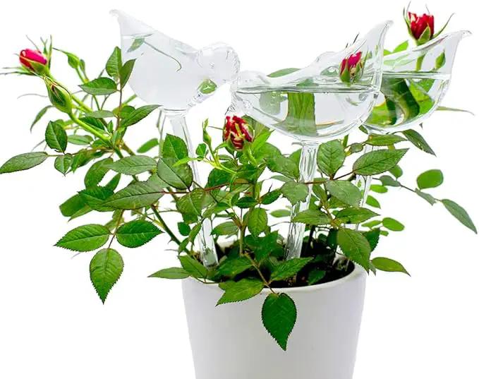 Glass Plant Watering Globes, Self Watering Globes Bird Shape, Self Watering Planter Insert, Plant Watering Devices, Automatic Plant Waterer Indoor, Watering Bulbs, 2 Pack by GreenHaven Gardens