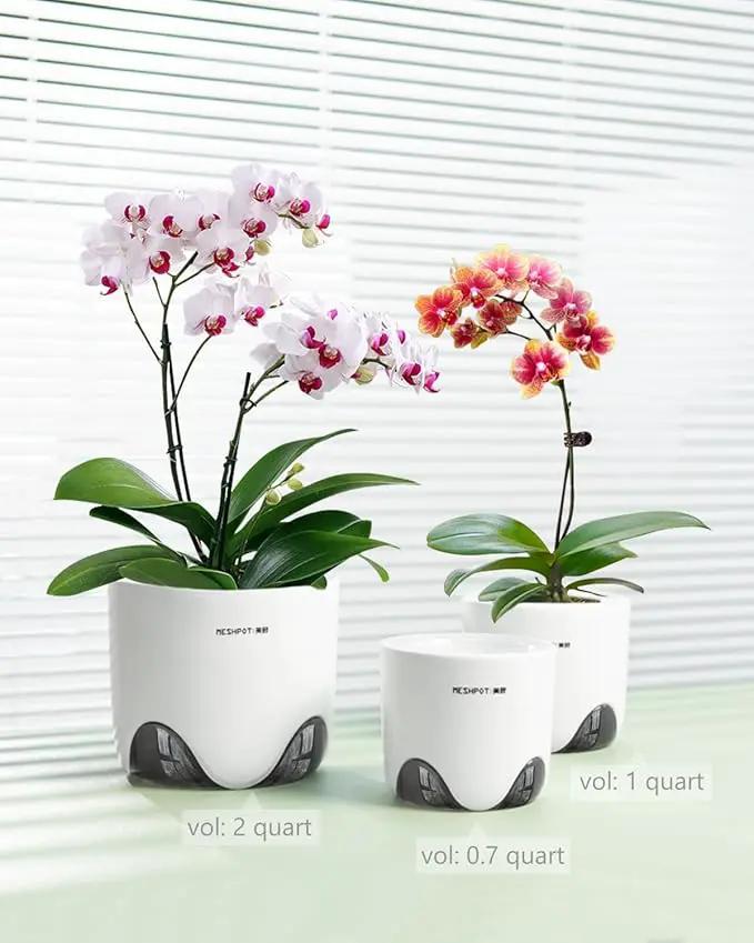 6 inch Orchid Pots with Holes for Repotting with Excellent Airflow, Set of 1, Double Layer Plastic Imitate Ceramic Orchid Planter, Clear Orchid Pot Match Decorative Orchid Container by GreenHaven Gardens