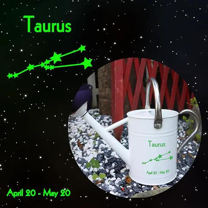 Metal Watering Can for Outdoor and Indoor Plants, Watering Can Decor, 1 Gallon (Taurus) by GreenHaven Gardens