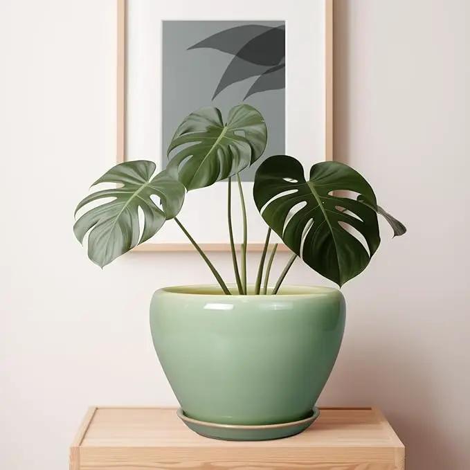 Ceramic Planter Pot - 10 Inch Plant Pot for Indoor Plants Decorative Planter with Drainage Hole and Saucer Large Pot for Plants Outdoor Round Flower Pot for Garden Green by GreenHaven Gardens