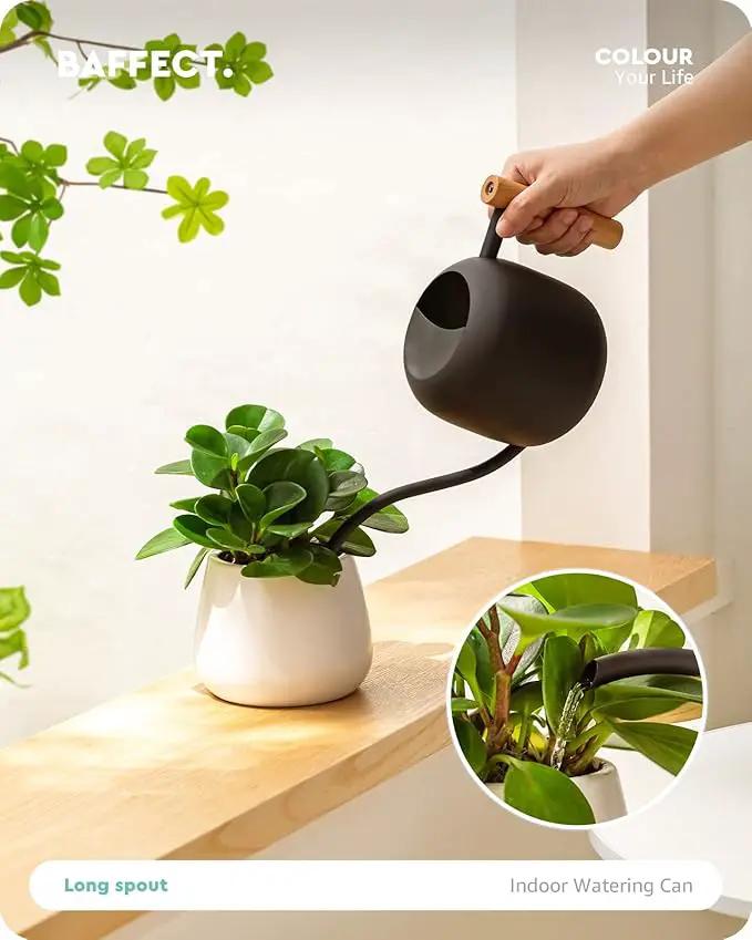 Baffect Watering Can Indoor Plants, 1.2L/41OZ Cute Watering Can Pot, Metal Stainless Steel Garden Water Can with Long Spout for Indoor House Plants Bonsai Outdoor Garden Flower Decorative by GreenHaven Gardens