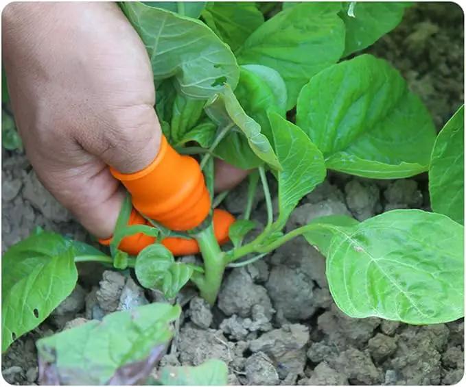 Fruit and Vegetable Picking Potted Plants Trim Silicone Thumb Knife Set Picking Portable Knife Garden Tools by GreenHaven Gardens