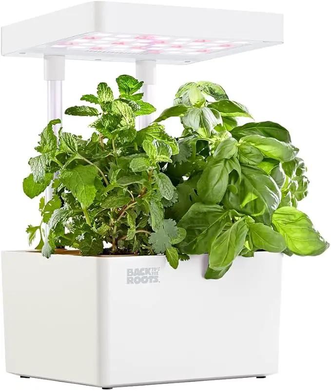 Back to the Roots Hydroponic Grow Kit, Indoor Garden with Light (Matte White), Organic Seeds Included, Gardening Gift, Everything Included by GreenHaven Gardens