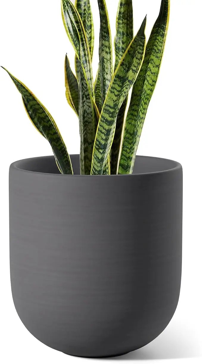LE TAUCI 10 Inch Plant Pot, Ceramic Pots for Plants with Drainage Hole and Rubber Plug, Plant Pots Indoor for Home Garden Patio Office, Cylinder Planters for Indoor Plants, Charcoal Gray by GreenHaven Gardens