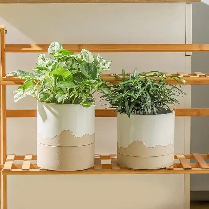 Nihow Self Watering Plant Pot: 6 Inch Ceramic Planter with Drainage Hole & Water Storage Plus for Indoor & Outdoor Plants - Cylinder Round Flower Pot for Succulent/Herbs/Violets - White & Nature by GreenHaven Gardens
