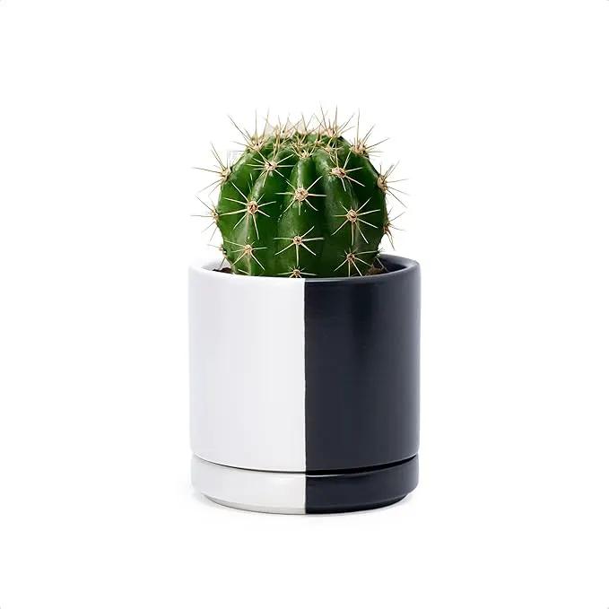 D'vine Dev 3.5 Inch Ceramic Planter Pot with Drainage Hole and Saucer, Indoor Cylinder Round Planter Pot, Split Monochrome Black & White, 94-O-A-0 by GreenHaven Gardens
