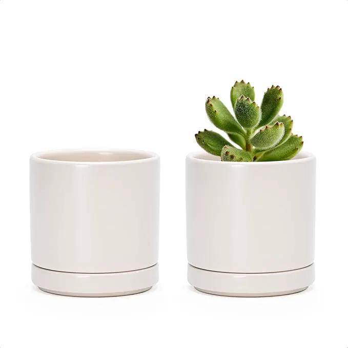 D'vine Dev Set of 2 Plants Pots, 3.5 Inch Ceramic Planter Pot for Plants with Drainage Hole and Saucer, Oatmeal, 94-V-A-8 by GreenHaven Gardens