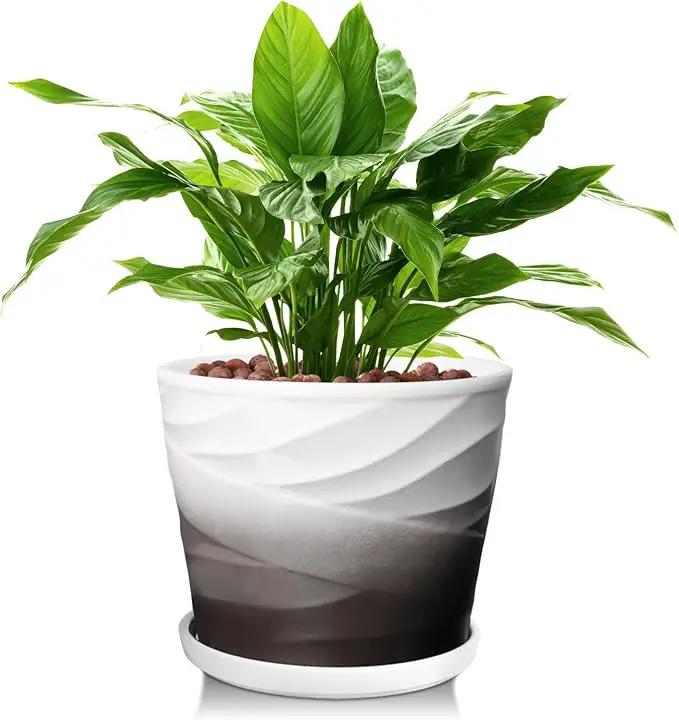 8 Inch Indoor Plant Pot with Drainage Holes and Saucers, Ceramic Planter for Plants, Succulent Orchid Flower Pots(Dark Gray+White) by GreenHaven Gardens