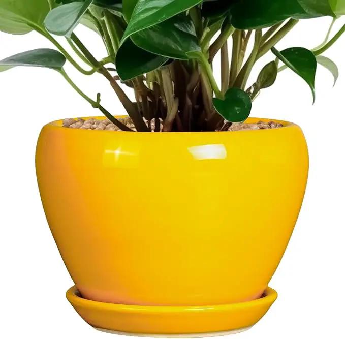 Ceramic Pot for Plants - 6 Inch Plant Pot Glaze Modern Decorative Round Planter with Drainage Hole and Saucer for Home Patio Room Office House Decor, Yellow by GreenHaven Gardens