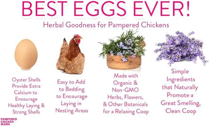 Pampered Chicken Mama Best Eggs Ever! Nesting Herbs for Chickens (16 Ounce/1 Pound) for Chicken Nesting Boxes Calcium Supplement for Chickens | Chicken Feed Supplies, Hen Treats for Coops (1 Bag) by GreenHaven Gardens