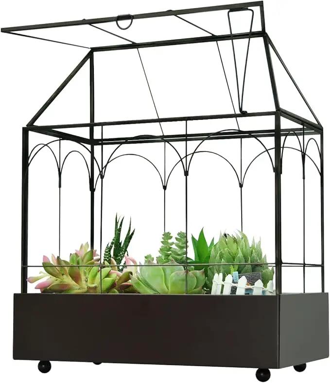 Large Tall Glass Plant Terrarium – House Succulent Terrarium Kit with Lip and Tray Glass Greenhouse Terrarium for Plant 9.5”X5.7”X11.4” by GreenHaven Gardens