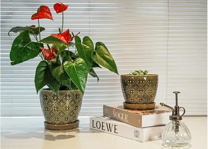 Docrin Ceramic Plant Pots Indoor, 6.6 + 5.5 Inch Planters with Drainage Holes and Saucer for Home/Office - Set of 2 /Dark Green by GreenHaven Gardens