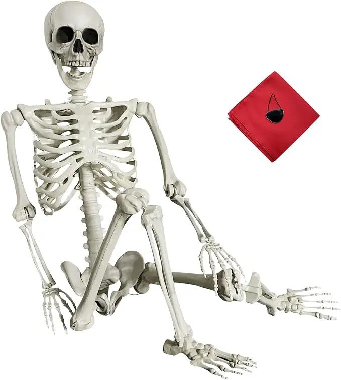 5.4Ft Halloween Skeleton - Life Size Full Body Realistic Human Bones with Posable Joints for Halloween Pose Skeleton Prop Decoration by GreenHaven Gardens
