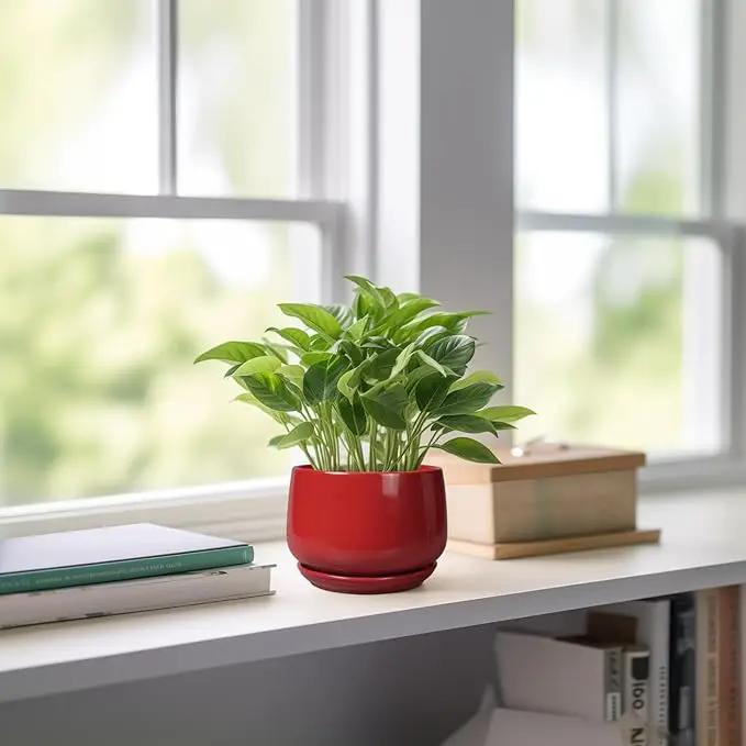 G EPGardening Ceramic Pots for Plants - 4 inch Succulent Pots Indoor Outdoor, Small Planter with Drainage Hole & Tray, Modern Flower Pot, Decorative Round Planter, Living Room Decor, Home Gifts, Red by GreenHaven Gardens