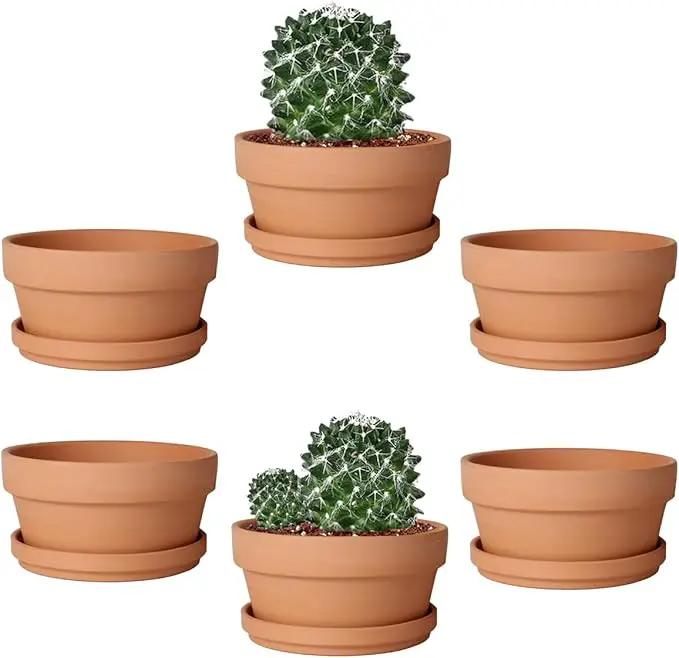 vensovo 5.7 Inch Terracotta Shallow Succulent Pot - 6 Pack Terra Cotta Clay Pots with Saucer, Cacuts Terra-Cotta Indoor and Outdoor Planters with Drainage Hole by GreenHaven Gardens