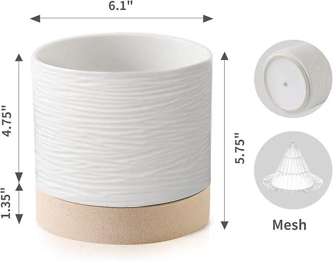 Nihow Ceramic Plant Pot: 6 Inch Planter with Drainage Hole & Saucer for Indoor & Outdoor Plants - Cylinder Round Flower Pot for Succulent/Herbs/Violets - White & Brown by GreenHaven Gardens