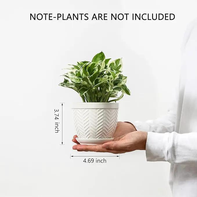 Sureasy Ceramic Plant Pots, 4.7 Inch Flower Pots for Indoor Plants, Succulent Pots with Saucer and Drainage Hole, Decorative Planter for Succulent, Cactus, Set of 4, White by GreenHaven Gardens