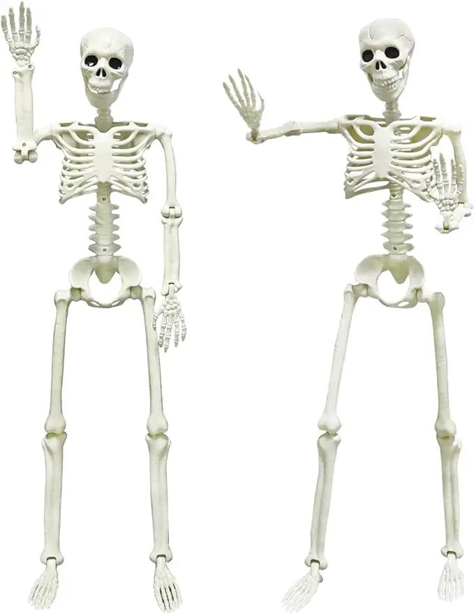 CAMIRUS 2PACK Plastic Posable Halloween Skeleton Decorations, 3FT Poseable Skeleton Full Body with Movable Joints for Halloween Indoor/Outdoor Haunted Houses, Lawn, Graveyard Decor by GreenHaven Gardens