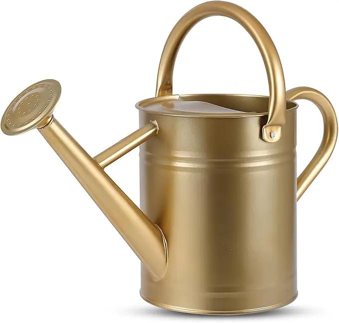 1 Gallon Watering Can for Plants, Watering Cans for Indoor&Outdoor Gardening, Galvanized Steel Watering Pot with Removable Spout, Metal Water Can with Ergonomic Movable Handle(Gold) by GreenHaven Gardens