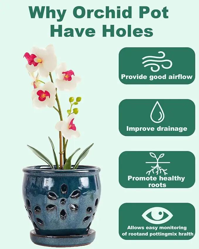 vensovo 5 Inch Ceramic Orchid Pots with Holes and Saucers - 1 Pcs Small Succulent Pot for Repotting, Garden Flowerpots for Plants Indoor and Outdoor Promotes Air Circulation, Blue by GreenHaven Gardens
