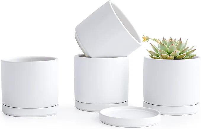 D'vine Dev Set of 4 Small Ceramic Plant Pots, 4.6 Inch Succulent Planter Pot for Plants with Drainage Hole and Saucer, White, 94-X-B-1 by GreenHaven Gardens