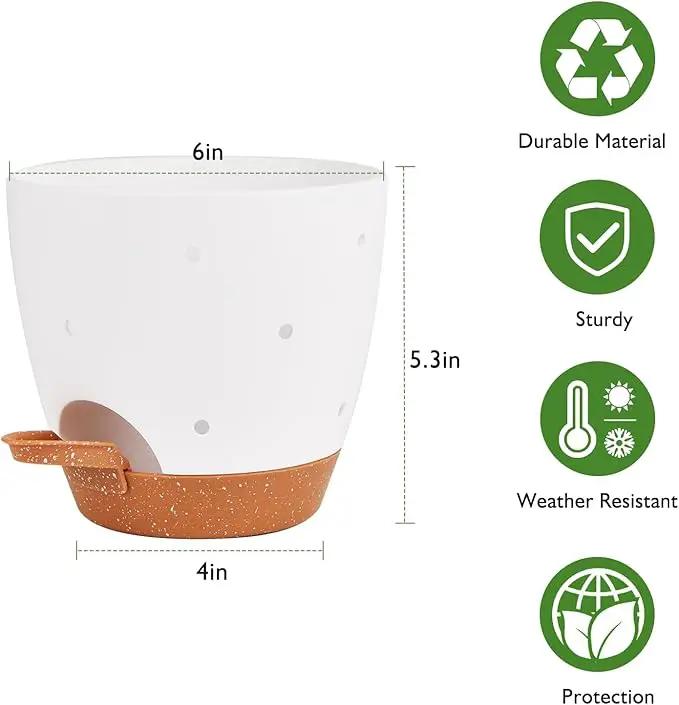 6 Inch Orchid Pots with Holes, 2 Pack Self Watering Planters for Orchids Plastic Orchid Pot Plant Flower Pots for Orchids Indoor Outdoor (White with Brown) by GreenHaven Gardens