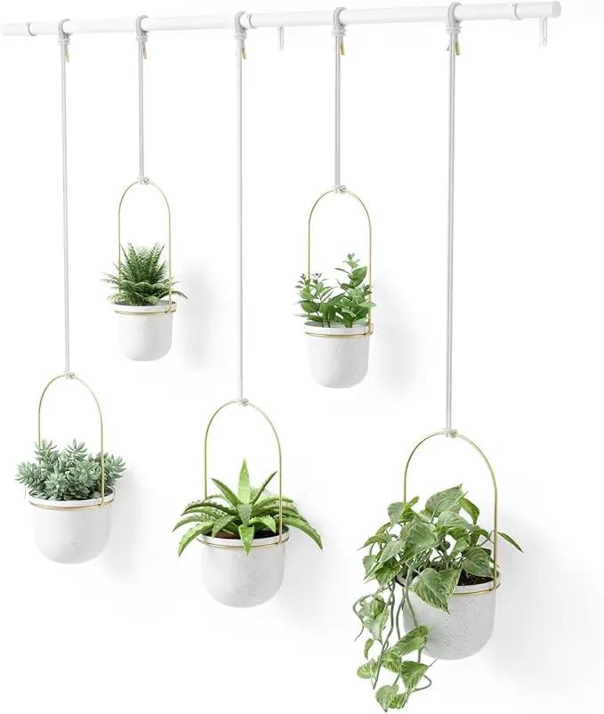 Umbra Triflora Hanging Planter for Window, Indoor Herb Garden, Set of 5, White/Brass by GreenHaven Gardens