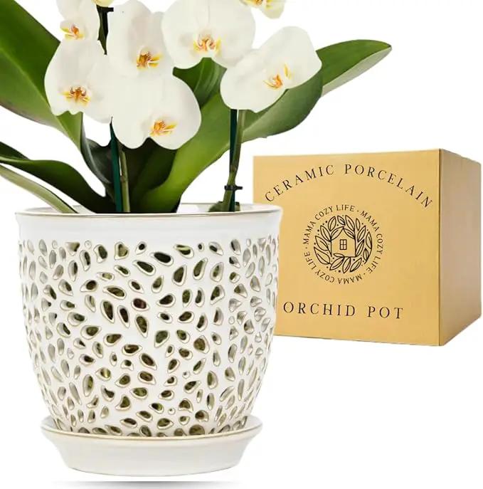 Elegant Orchid Pot with Holes, Large 6.5 inch Premium Porcelain Ceramic Orchid Pot for Repotting, Durable Ceramic Planter with Removable Saucer for Easy Drain, Planter Gifts for Moms by GreenHaven Gardens