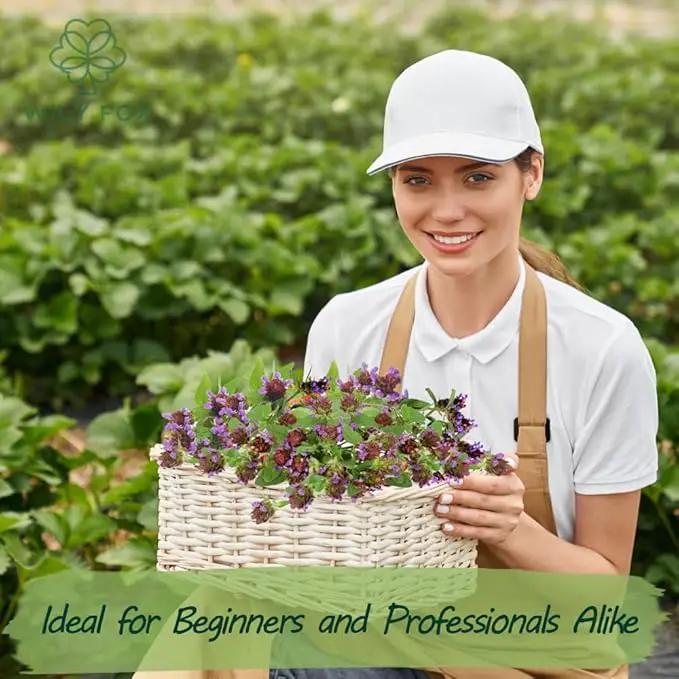 Premium Prunella Vulgaris Seeds - 700+ Non-GMO Self Heal Herb Seeds for Planting - Heirloom Medicinal Herb, Attracts Pollinators - Easy to Grow for Garden, Indoors or Outdoors (Prunella vulgaris) by GreenHaven Gardens