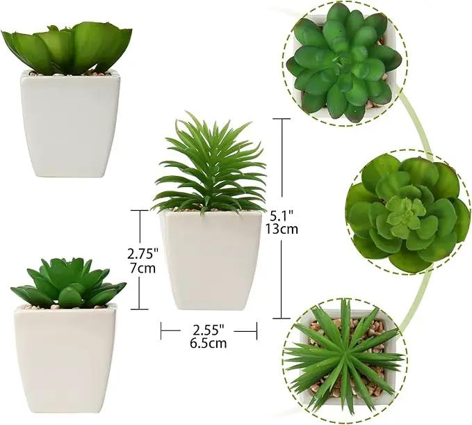 Hollyone Succulents Plants Artificial 3Pcs Small Fake Succulents in Pots Faux Plastic Potted Plants with White Ceramic Pot for Home Decor Classroom Office Bathroom Shelf Indoor & Outdoor Decorations by GreenHaven Gardens