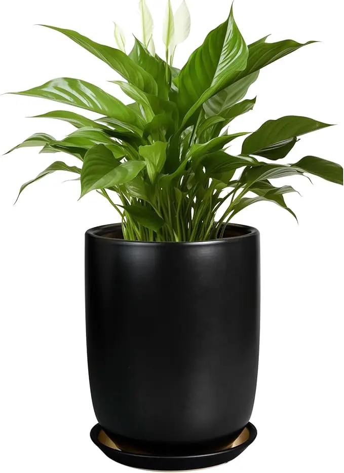 Ceramic Planter 8 Inch - Plant Pot for Indoor Outdoor Plants Cylinder Flower Pot with Drainage Hole and Saucer Black by GreenHaven Gardens