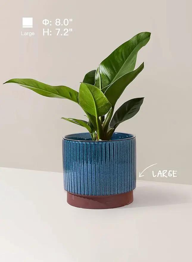 LE TAUCI Ceramic Plant Pots with Drainage Holes, Set of 3, 8+6.7+5.5 Inch Stripe Garden Planter Pots for Outdoor Indoor Plants Flower, Round Succulent Orchid Flower Pot Small to Large Size, Blue by GreenHaven Gardens