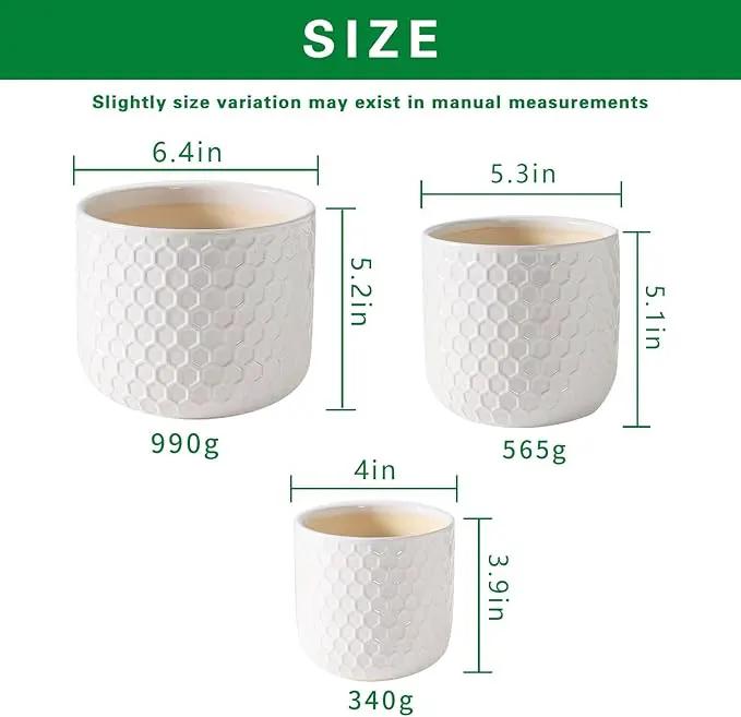 Docrin Ceramic Plant Pots Indoor: 6.5+5.3+4 Inch Planters with Drainage Holes for Home/Office - Set of 3 / White Honeycomb by GreenHaven Gardens