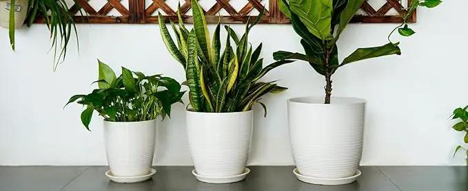 10 Inch Ceramic Planter Pot Large Plant Pot with Drainage Hole and Saucer Modern Round Flower Pot for Indoor Outdoor Plants Garden Pot White by GreenHaven Gardens