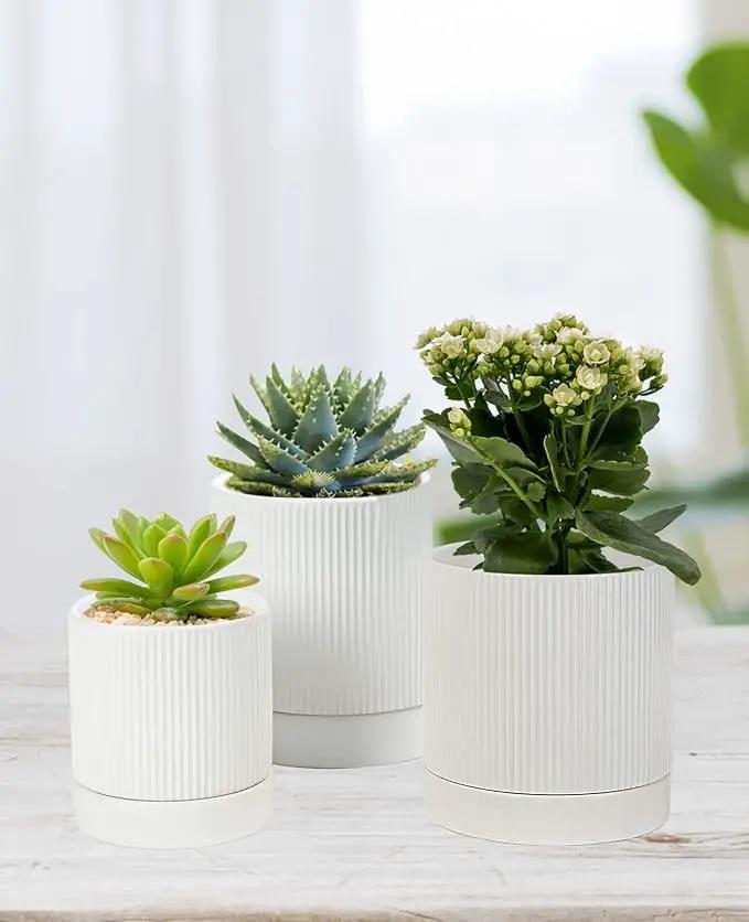 LaDoVita 3 Pack Ceramic Plant Pots 6/5/4 inch, Flowerpot for Indoor Plants with Drainage Holes and Tray, Outdoor Garden Planters, Modern Decorative for Home, White Vertical Stripes by GreenHaven Gardens