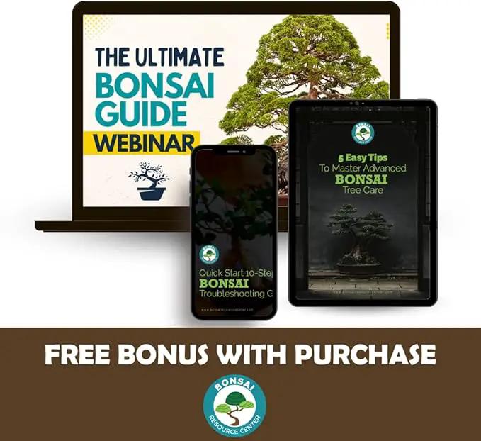 Bonsai Tree Food | Premium, Gentle Liquid Fertilizer for Healthy Growth, Strong Stems and Beautiful Blooms | 3-3-3 Balanced NPK Concentrate | Made in USA | 8 oz (240 ml) by GreenHaven Gardens