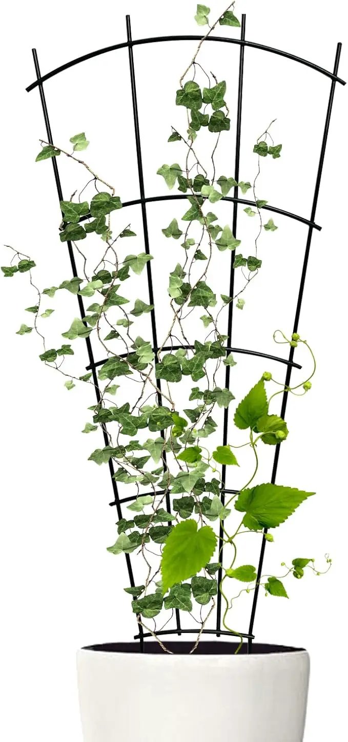 4 Pack 23'' Indoor Plant Trellis for Potted Plants Climbing, Outdoor Metal Garden Trellis Houseplants Flowers Vine Ivy,Fan Shape, Black by GreenHaven Gardens