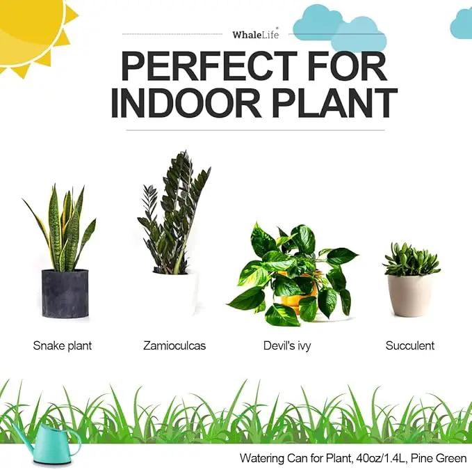 WhaleLife Indoor Watering Can for House Bonsai Plants (1.4L, Pine Green) by GreenHaven Gardens