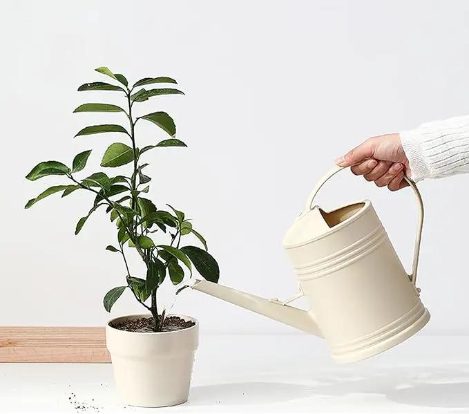 Watering Can for Indoor Plants, Flower Watering Can, Plastic Water Can for Plants with Sprinkler Head 68 oz, 1/2 Gallons by GreenHaven Gardens