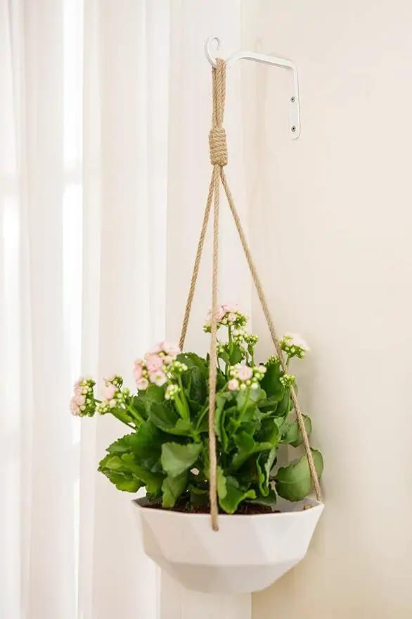 Mkono Hanging Plant Bracket 6 inch Metal Wall Plant Hook Decorative Plant Hanger for Bird Feeders, Planters, Lanterns, Wind Chimes, Home Decor Indoor Outdoor 2 Pack, White by GreenHaven Gardens