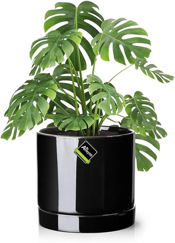 Aveyas 10 inch Ceramic Plant Pot with Drainage Hole and Saucer - Suitable for Indoor and Outdoor Use, Modern Planters for House Garden Flower Tree Snake Monstera Plants (10", Glossy Black) by GreenHaven Gardens