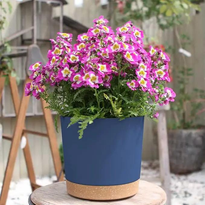 ZMTECH Plant Pots, Set of 6 6.5'' Self Watering Plastic Planter with Drainage Hole and Saucer,Modern Decorative Flower Pot for Indoor Outdoor House Plants, Succulents, Flowers - Blue by GreenHaven Gardens