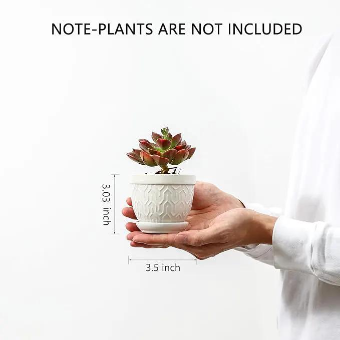 Sureasy Succulent Pots, 3.5 Inch Flower Pots for Indoor Plants, Small Plant Pots with Saucer & Drainage, Decorative Ceramic Planters for Succulent, Cactus, Set of 4, White by GreenHaven Gardens