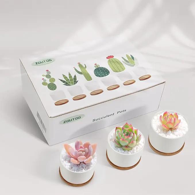 ZOUTOG Succulent Pots, White Mini 3.15 inch Ceramic Flower Planter Pot with Bamboo Tray, Pack of 6 - Plants Not Included by GreenHaven Gardens