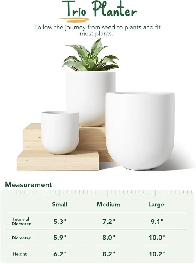 LE TAUCI 6+8+10 Inch Ceramic Pots for Plants, Plant Pots Indoor with Drainage Hole and Plug, Planter Pots for Home Office Room Patio, Set of 3, White by GreenHaven Gardens