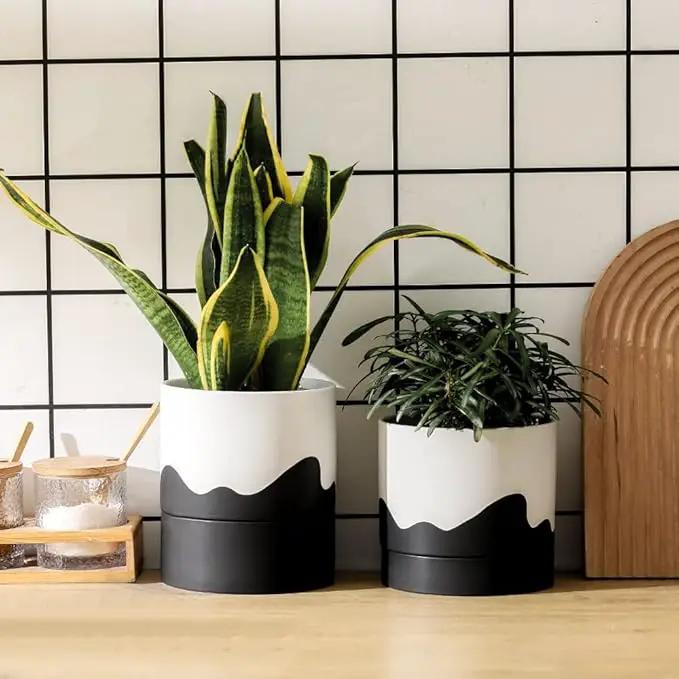 Nihow Ceramic Plant Pot: 6 Inch Planter with Drainage Hole & Saucer for Indoor & Outdoor Plants - Cylinder Round Flower Pot for Succulent/Herbs/Violets - White & Wave Black by GreenHaven Gardens