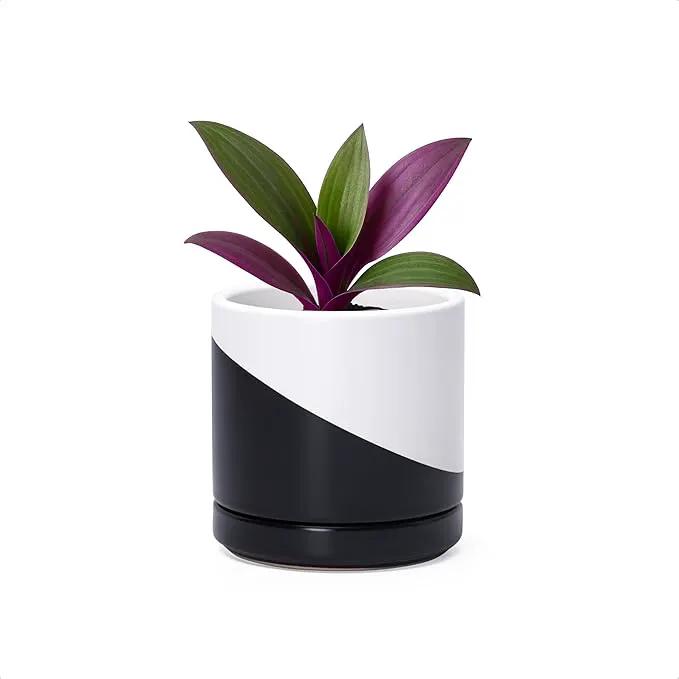 D'vine Dev 3.5 Inch Ceramic Planter Pot with Drainage Hole and Saucer, Indoor Cylinder Round Planter Pot, Oblique Monochrome Black and White, 94-O-A-K by GreenHaven Gardens