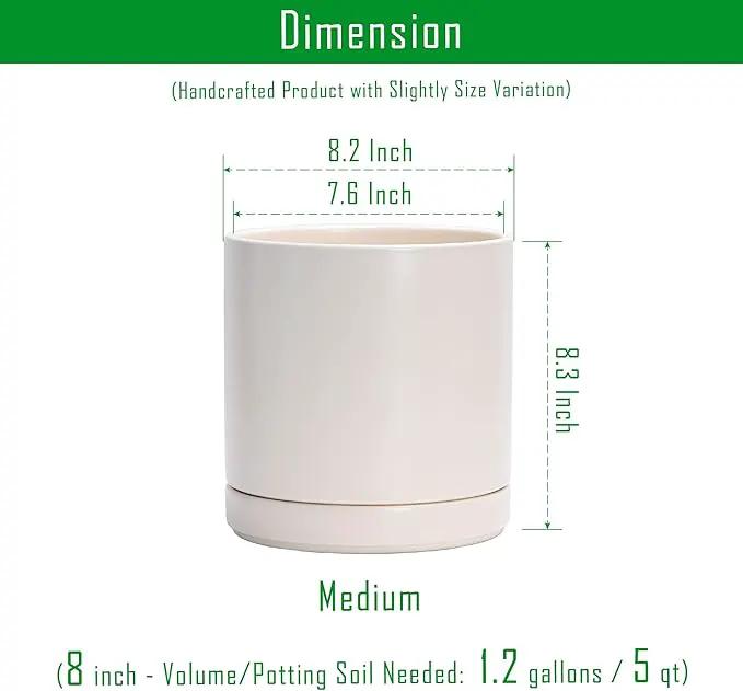 D'vine Dev 8 Inch Ceramic Planter Pot with Drainage Hole and Saucer, Indoor Cylinder Round Planter Pot, Oatmeal, 94-O-D-8 by GreenHaven Gardens