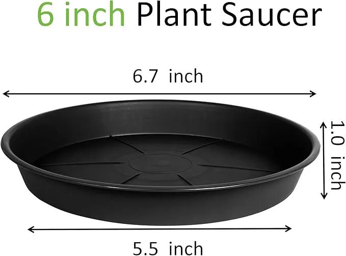 6 Pack of Plant Saucer 6 inch, Black Plastic Flower Plant Pot Saucer, Heavy Duty Plant Drip Trays Saucers for Indoor, Plant Water Tray for Planters by GreenHaven Gardens